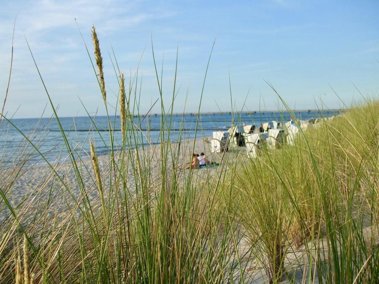 Discovair Graal Mueritz- Apartment Johanna- Strandnah Mit Netflix Buitenkant foto
